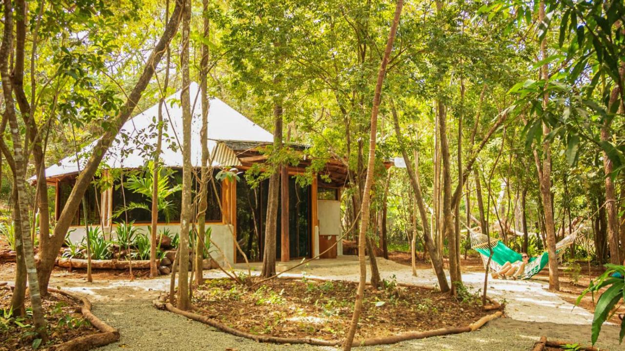 Dreamsea Surf Camp Costa Rica Hostel Tamarindo Luaran gambar